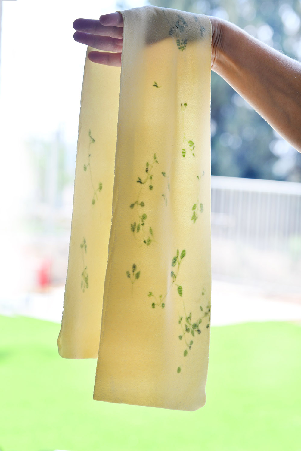 Homemade Pasta