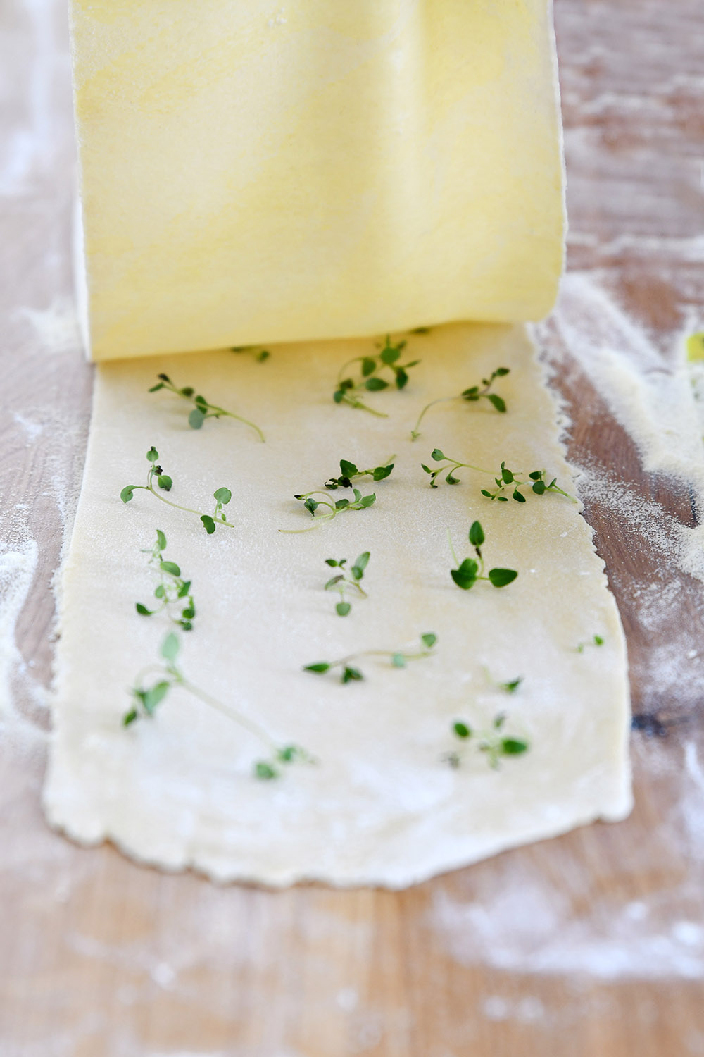 Homemade Pasta