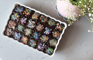Chocolate Cake Cubes